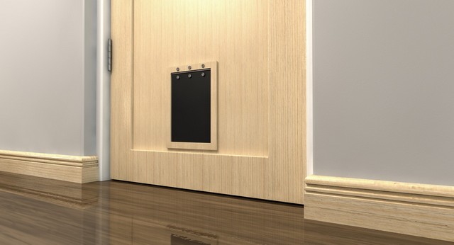 Cat Flap Installation Kew, North Sheen, TW9