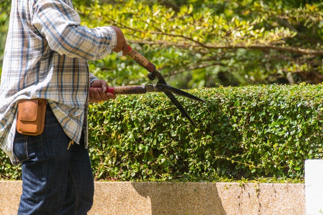 Garden Maintenance Kew, North Sheen, TW9